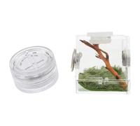 TOYANDONA Spider Habitat Box with Mini Light, Small Jumping Spider Breeding Carrier, Acrylic Reptile and Critter Tank with Moisture Control for Terrestrial Pets