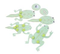TOYANDONA Tadpole Frog Biology Learning Kit for Students Detailed Life Cycle Model Educational Science Experiment for Preschool and Classroom Use