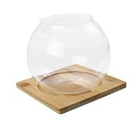 TOYANDONA Transparent Glass Micro Landscape Bottle Round Succulent Pot with for DIY Fish Tank and Hydroponic Plants Stylish Home Decor for Indoor Gardens and Table Centerpieces