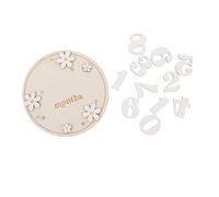 TOYANDONA Wooden Baby Monthly Discs Set for Newborn Boys and Girls with Smooth Surface and No Rough Edges, for Monthly Photo Announcements and Occasions