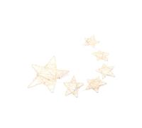 TOYANDONA Woven Five-pointed Star Rattan Dream Catcher Pendant with Decorative Light Lightweight Hanging Ornament for Bedroom Living Holiday Party Window and Shop Display