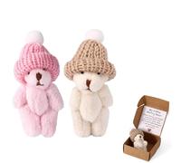 TOYMIS 2 Sets Little Worry Bear in Box, Adorable Mini Tiny Pocket Hug Bear in a Box with Encouraging Card Funny Inspirational Care Memory Small Doll for Office Desk Bedroom Decor Gifts(Pink, White)