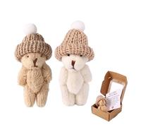 TOYMIS 2 Sets Mini Plush Little Bear in Box, Handmade My Little Worry Bear Soft Pocket Hug Plush with Inspirational Card Emotional Positive Gift Support for Friends Lovers (Khaki, White)