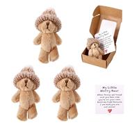 TOYMIS 3 Sets Mini Plush Little Bear in Box, My Little Worry Bear Handmade Pocket Hug Plush with Inspirational Card Emotional Positive Gift Support for Friends Family Lovers Coworkers