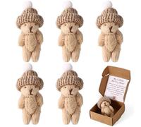 TOYMIS 5pcs My Little Worry Bear, Small Bear Hug in a Box Mini Plush Doll with Inspirational Cards Emotional Pocket Toy Cute Desk Decor Positive Gifts for Family Friends & Coworkers (Brown)