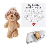TOYMIS Mini Plush Bears, Cute Brown Small Pocket Hug Bear in A Box with Positive Encouraging Card Soft My Little Worry Bear Perfect Desk Tiny Decor for Family Friends, Thoughtful Gifts