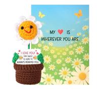 TOYMIS Positive Daisy Crochet, 5.12x2.36x2.36in Knitted Positive Daisy with Encouragement Card Crocheted Flower in Pot Support Plant Inspirational Gifts for Loved One Anniversary Memento (for Couple)