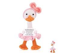 TOYMIS Positive Goose, 6.69 Inch Pink Cute Support Crochet Goose Plush with Inspirational Card Creative Emotional Knitted Animals Doll Positive Life Encouraging Potato Lucky Gift for Birthday Party