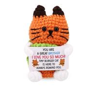 TOYMIS Positive Hamburger Cat for Brother, Cute Crochet Hamburger Cat with Inspirational Card Emotional Knitted Toy Positive Support Crochet Doll for Brother Friends