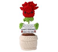 TOYMIS Positive Rose, 5.12 Inch Height Crocheted Red Roses Plant with Inspirational Card Emotional Potted Flowers Crochet Doll for Couple Gift Office Home Decor Handicrafts