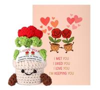 TOYMIS Positive Rose Crochet, 5.12x2.36x2.36in Crocheted Red Roses with Inspirational Card Emotional Knitted Potted Flowers Plant Crochet Doll for Loved One (for Wife)