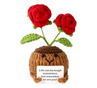 TOYMIS Positive Rose, Emotional Knitted Doll Support Rose Positive Flower Pot Crochet with Encouragement Card for Couple Gift Home Office Car Dashboard Decoration (Red)