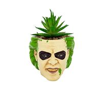 Toynk Toys, LLC Beetlejuice Head 3-Inch Ceramic Mini Planter with Artificial Succulent