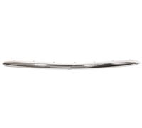 BLIC 6502-07-8118914Q Bumper moulding