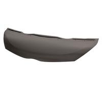 Toyota IQ 09-14 Bonnet TY0503100