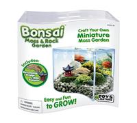 Toys By Nature Bonsai Moss & Rock Garden, Mini Wave Terrarium Kit with Real Plant, Beginner-Friendly Terrariums and Live Indoor Plants Decor