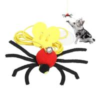 Toys For Cats On Door,Hanging Game With Elastic Cord And Spider,Elastic Cord Interactive Toy For Cats - Use Indoors, In Bedroom, Living Room, On Terrace, And In House