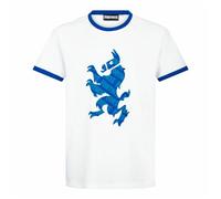 Toys & Gamers FORTNITE Llama | White Short Sleeved Cotton T-Shirt Unisex Kids Gamer Shirt Age 10-16 Years (14 Years)