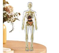 Toys Interactive Human Corps - FigureHuman Body Science Toys | Human Body Assembly Toy, Magnetic Human Body Toy, STEM Human Body Toy, Human Body Puzzle Toy Kit