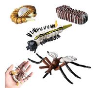 Toys Life Cycle Butterfly Bee And Figures Butterfly Ornament Model Simulated Models for Preschool Education