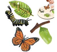 Toys Life Cycle Butterfly Bee And Figures Butterfly Ornament Model Simulated Models for Preschool Education