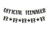 TOYVENTURES 13th Birthday Decorations - Official Teenager Glitter Banner with Number 13 Garland | Party Supplies, Ideas, Gifts for Girls & Boys | Pre-Strung Reusable Birthday Banner, No DIY Required