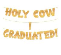 TOYVENTURES Graduation Gold Decorations Set - Congrats Grad Banner, Class of 2025 Backdrop, Party Supplies for High School & College Celebrations Degree PHD (Pre-strung, No DIY Required) (Gold-HCIG)