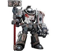Toyverse JOYTOY 1/18 Warhammer 40,000 Action Figure, Grey Knights Terminator Caddon Vibova, Movable Joints Character Model, Ages 15+
