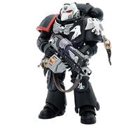 Toyverse JOYTOY 1/18 Warhammer 40,000 Action Figure, Raven Guard Intercessors Sergeant Rychas, Movable Joints Character Model, Ages 15+