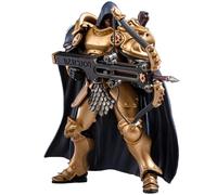 Toyverse JOYTOY 1/18 Warhammer Age of Sigmar Action Figure, Stormcast Eternals The Blackheels Shakana Goldenblade, Movable Joints Character Model, Age 15+