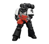TOYVERSE JOYTOY Warhammer 40,000 Black Templars Intercessor with Bolt Rifle, Bolt Pistol and Chainsword 1/18 Scale Action Figure Character Model 15+