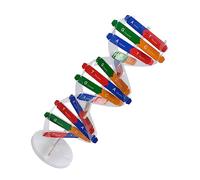 Toyvian 1 Set Dna Double Helix Classroom Teaching Structure of Dna Double Model Dna Molecular Model Mannequins Kids Playset Human Body Model for Kids Science Teaching Dna Model