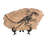 Toyvian 1 Set Realistic Dinosaur Fossil Model Decoration Fun Table Decor for Parties and Collectors Safe Material Vibrant Design Educational Dinosaur Fossil