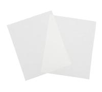 Toyvian 100Pcs Absorbent Bird Cage Liners Urine Pads for Parrots Birds Safe Breathable Cloth Cushions for Easy Clean Up for Budgie Cockatiel