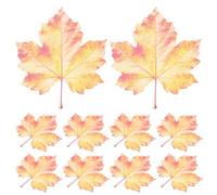 Toyvian 10pcs Maple Leaf Acrylic Bookmarks for Reading Lovers with Realistic Leaf Shape, Functional and Versatile Sizing, Preventing Paper Scratch, for Office and School Decor