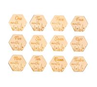 Toyvian 12pcs Cards Floral Monthly Photo Props for Newborn Growth Tracking Natural Material Beautiful Design for Photography