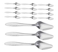 Toyvian 15pcs Parrot Feeding Spoon Stainless Steel Bird Feeding Spoon for Chicks Exotic Birds Pet Owners Easy Clean