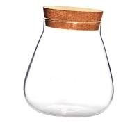 Toyvian 1Pc Clear Bottle Storage Pot with Cork Stopper Decorative DIY Succulent Terrarium Bowl for Art Crafts Moss and Home Decor Durable Transparent Container