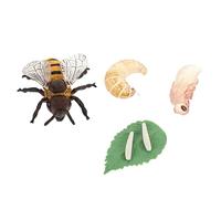 Toyvian 1Set Artificial Honey Bee Growth Model Realistic Figurines for Education Easy to Clean Deform Resistant for Nature Learning and Fun Activities