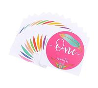 Toyvian 1set Monthly Stickers for Photos Growth Markers for Newborns Easy to Use Adhesive Photo Props for Scrapbooking and Capturing First Year Memories