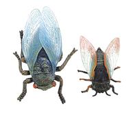Toyvian 2 Pcs Mini Cicada Simulation Ornament Realistic Insect Model Decoration Educational Nature for Teachers Learning Aid Safe Eco Friendly