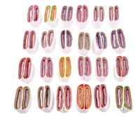 Toyvian 24Pcs Mouth Coils Paper Gimmick Stage Performance Props Easy to Use Fun Party Trick for and Entertainers Lightweight and Multi Purpose for Stage Shows