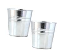 Toyvian 2pcs Iron Flower Buckets Portable Simple Plant Pots with Handle Silver Stylish Classic Desktop Succulent Holders for Indoors