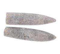 Toyvian 2pcs Natural Belemnite Specimen for Geology Education Paleontology Teaching and Decorative Display