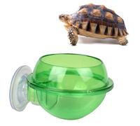 Toyvian 2pcs Reptile Water Feeder Suction Cup, Translucent Pet Feeding Bowl for Lizards and Amphibians, Reptile Drinking Tool Suitable for Terrariums and Small Exotic Pets