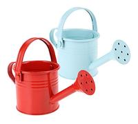 Toyvian 2pcs Small Metal Watering Can for Outdoor and Indoor Plants, Mini Watering Tool Watering Can Decor