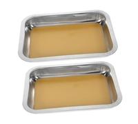 Toyvian 2pcs Stainless Steel Dissection Tray with Wax Base Lab Equipment for Biological Classroom Learning Scientific Research