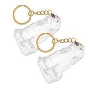 Toyvian 2pcs Transparent Pet Hair Keepsake Keychain with Clear Storage Case for Dog and Puppy Remembrance Portable Memorial Hair Box for Dog Owners Lightweight and Travel-friendly Souvenir