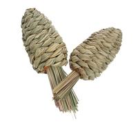 Toyvian 2Pcs Woven Radish Chewing for Pets for Rabbit Guinea Pig Hamster Promotes Health Chewing Fun Design for Furry Friends