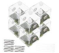 Toyvian 2Sets Acrylic Jumping Spider Enclosure Breeding Box with Ventilation Design Reptile Storage Case for Comfortable Habitat for Florida Jumping Spiders